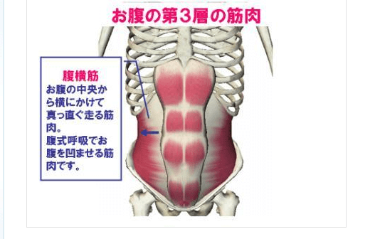 ２筋トレ